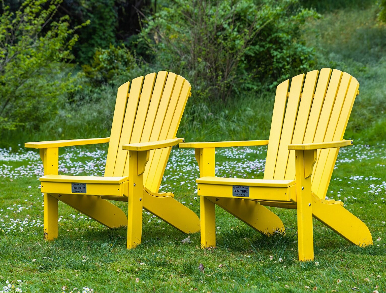 Relationships Can Be Boring Blog Carolina Counseling Services   Two Yellow Chairs E1688562212208 